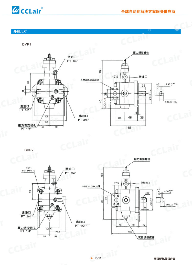 DVP系列叶片泵-2