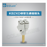 KB2XD04-06,KB2XD06-08,插入式五通接头
